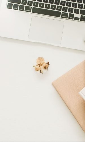 iana-dixon-seo-copywriting-services