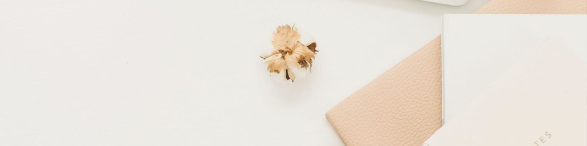 iana-dixon-seo-copywriting-services